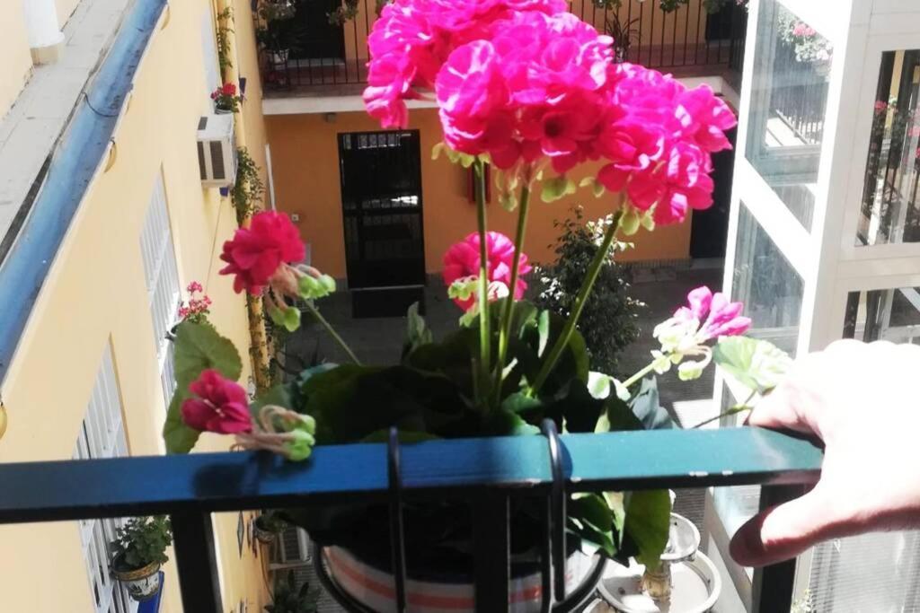 Apartament El Patio De San Bernardo