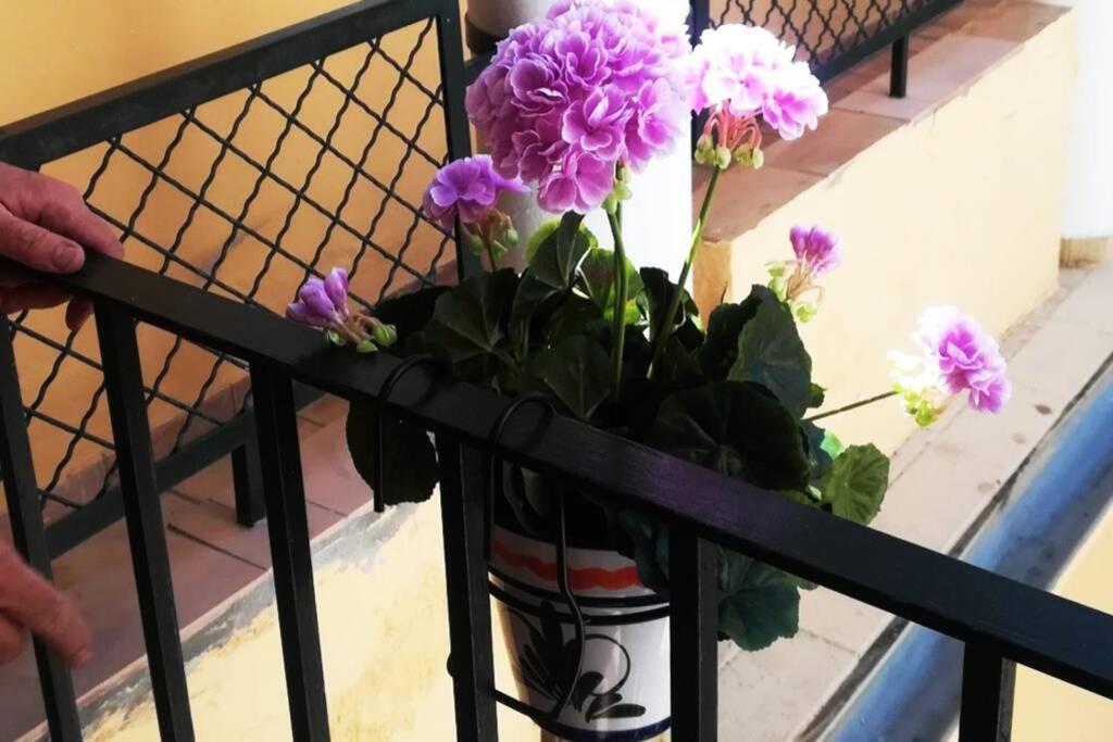 El Patio De San Bernardo Apartament *