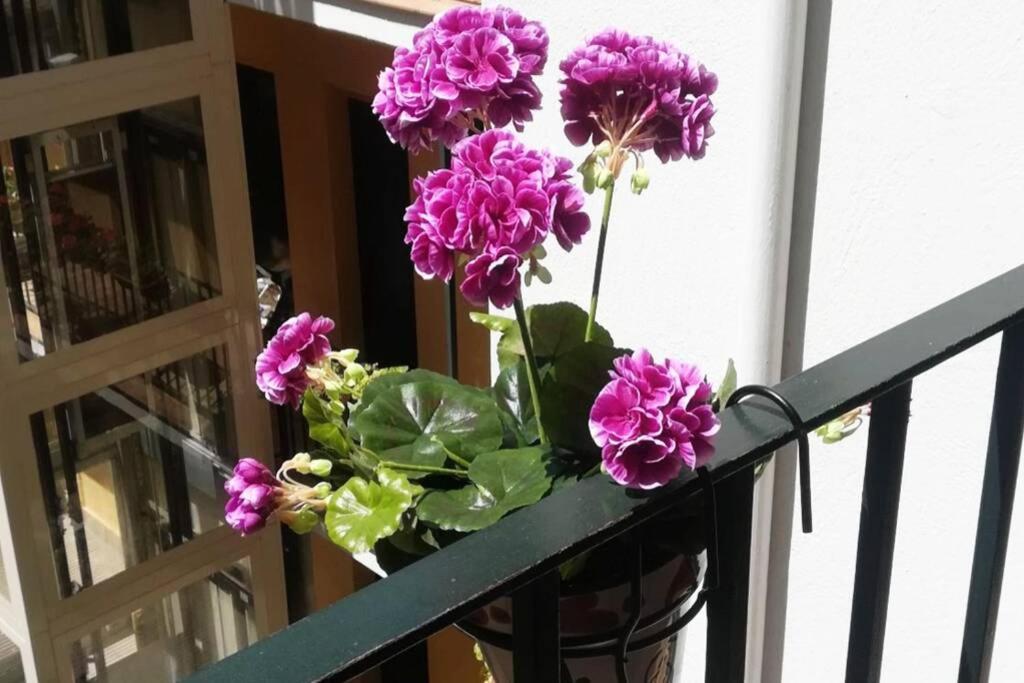 El Patio De San Bernardo Apartament